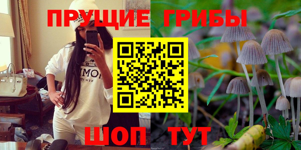 Псилоцибиновые грибы мухоморы  где продают наркотики  Нижнекамск  Вход с VPN 