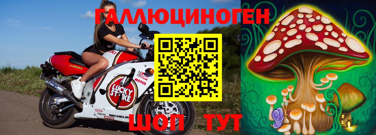 Галлюциногенные грибы Magic Shrooms Нижнекамск